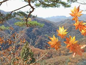 重庆打胎药询问医生（打胎药医院给开吗）